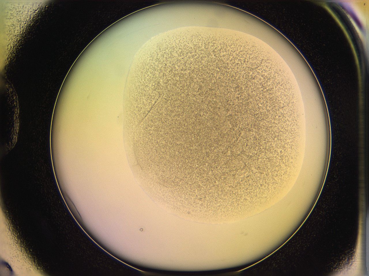 05ql_D2_ImagerDefaults_3.jpg