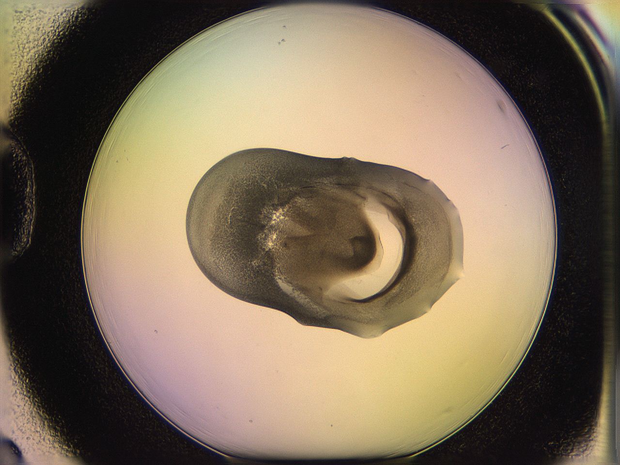 05ql_D3_ImagerDefaults_3.jpg