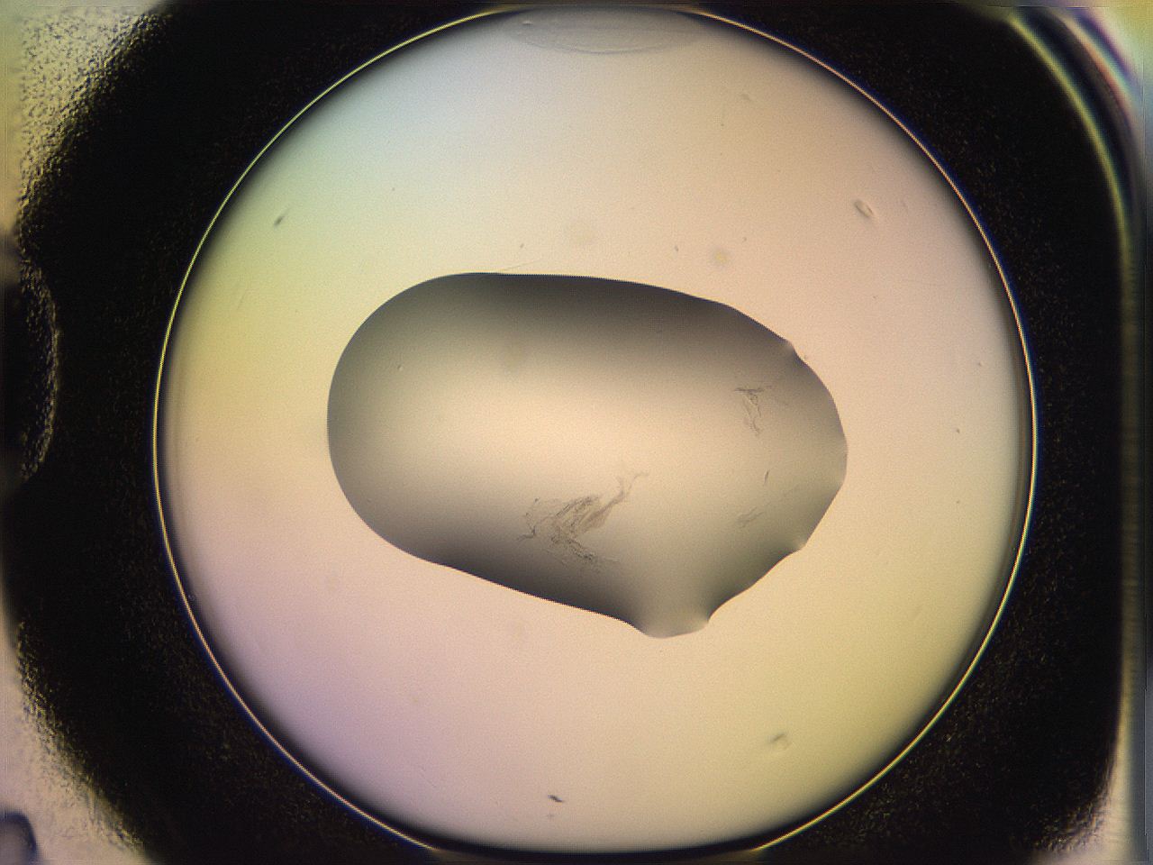 05ql_D4_ImagerDefaults_1.jpg
