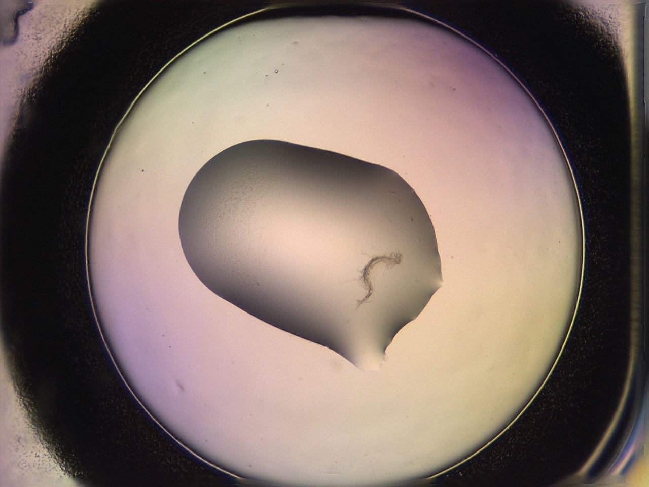05ql_D4_ImagerDefaults_2.jpg