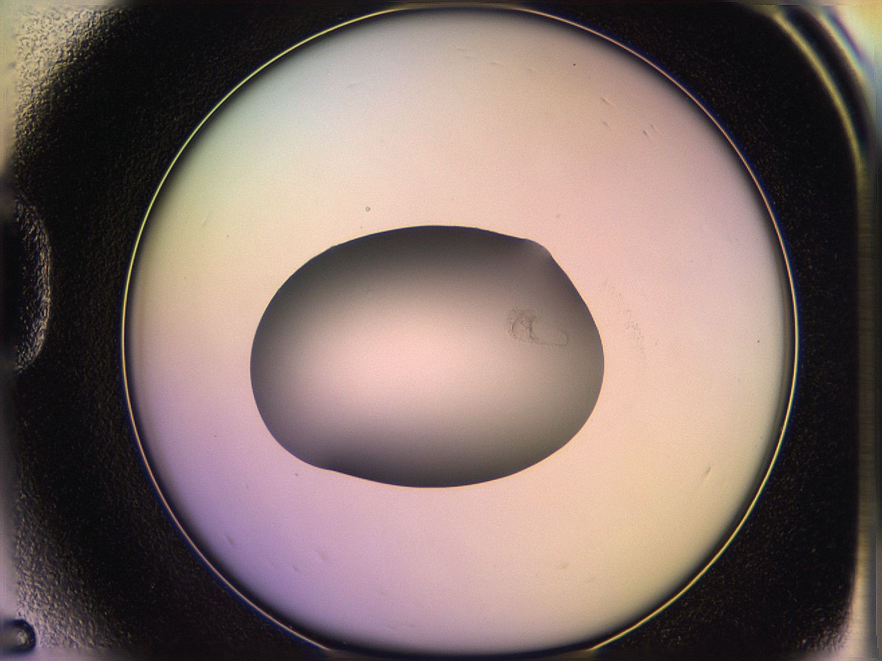 05ql_D5_ImagerDefaults_1.jpg