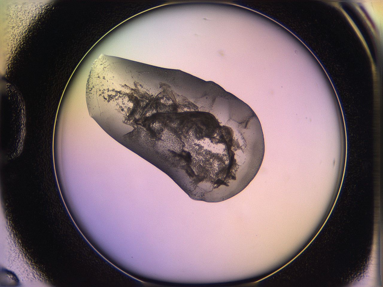 05ql_D6_ImagerDefaults_3.jpg