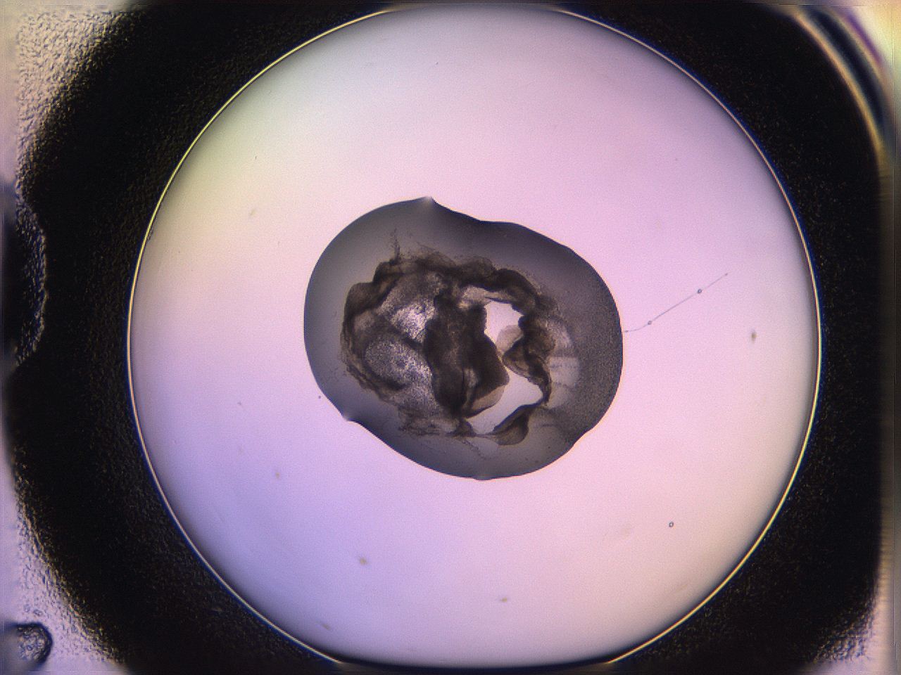 05ql_D7_ImagerDefaults_3.jpg