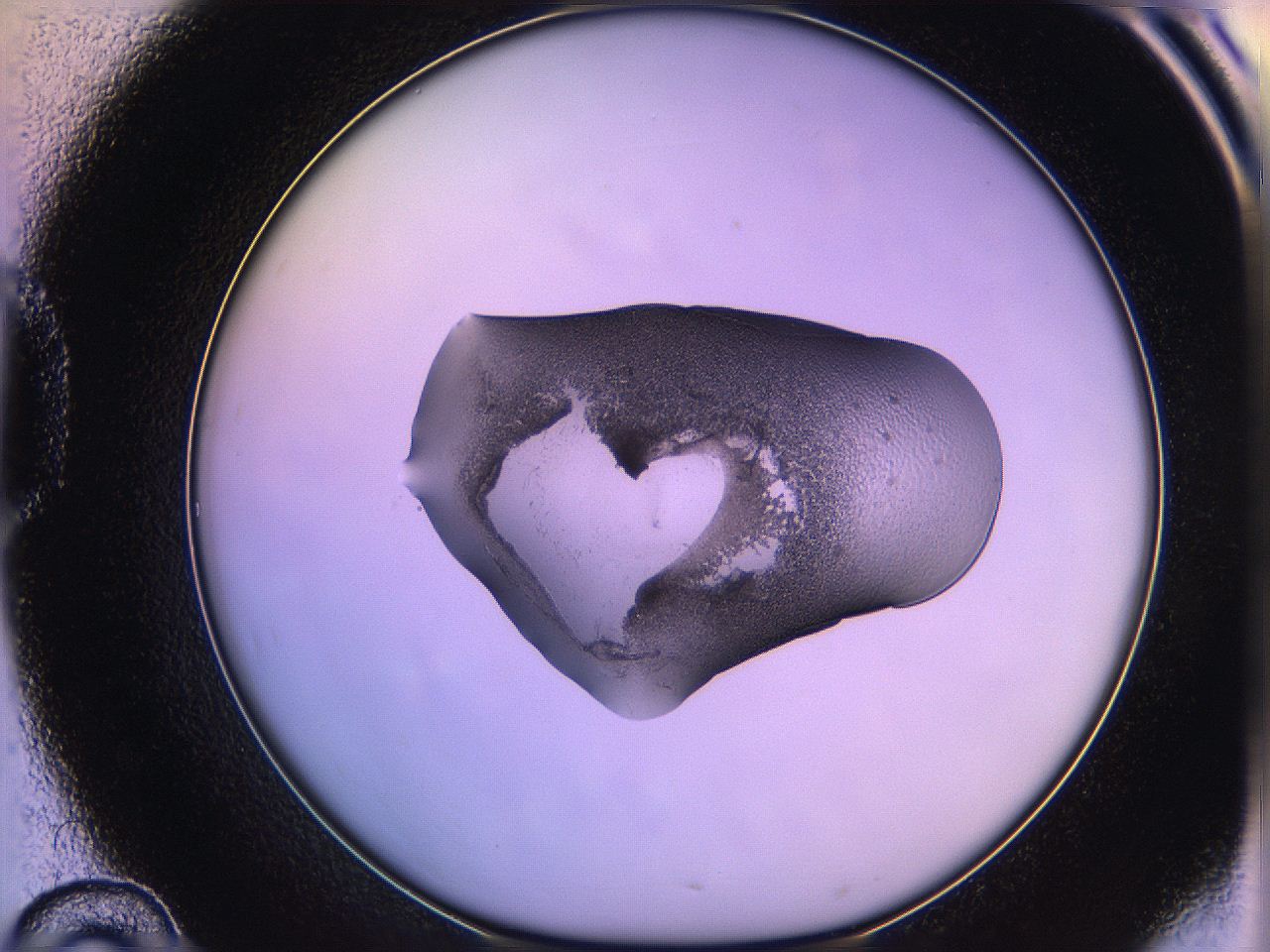 05ql_D10_ImagerDefaults_3.jpg