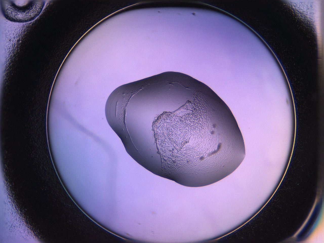 05ql_D10_ImagerDefaults_2.jpg
