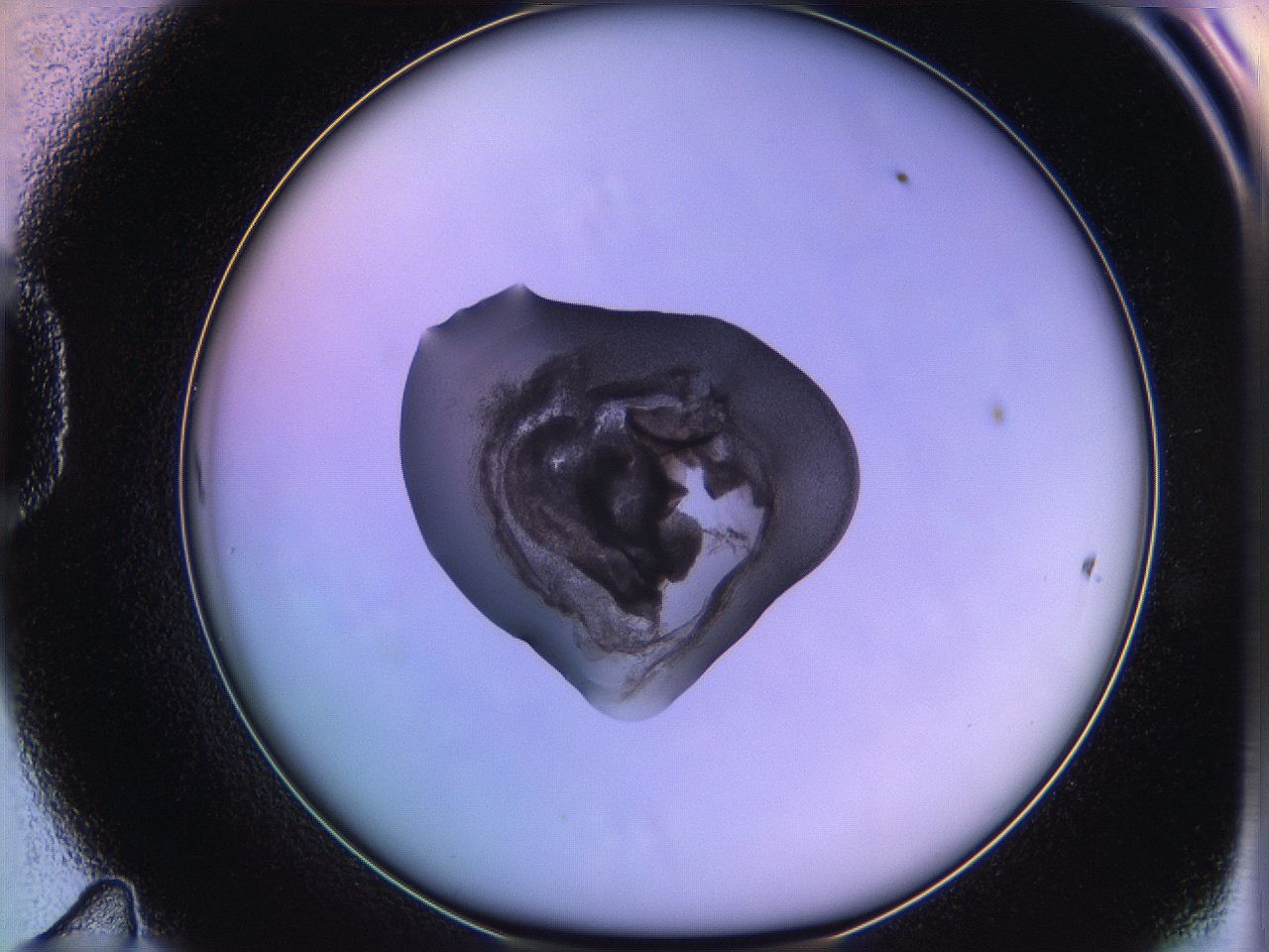 05ql_D11_ImagerDefaults_3.jpg