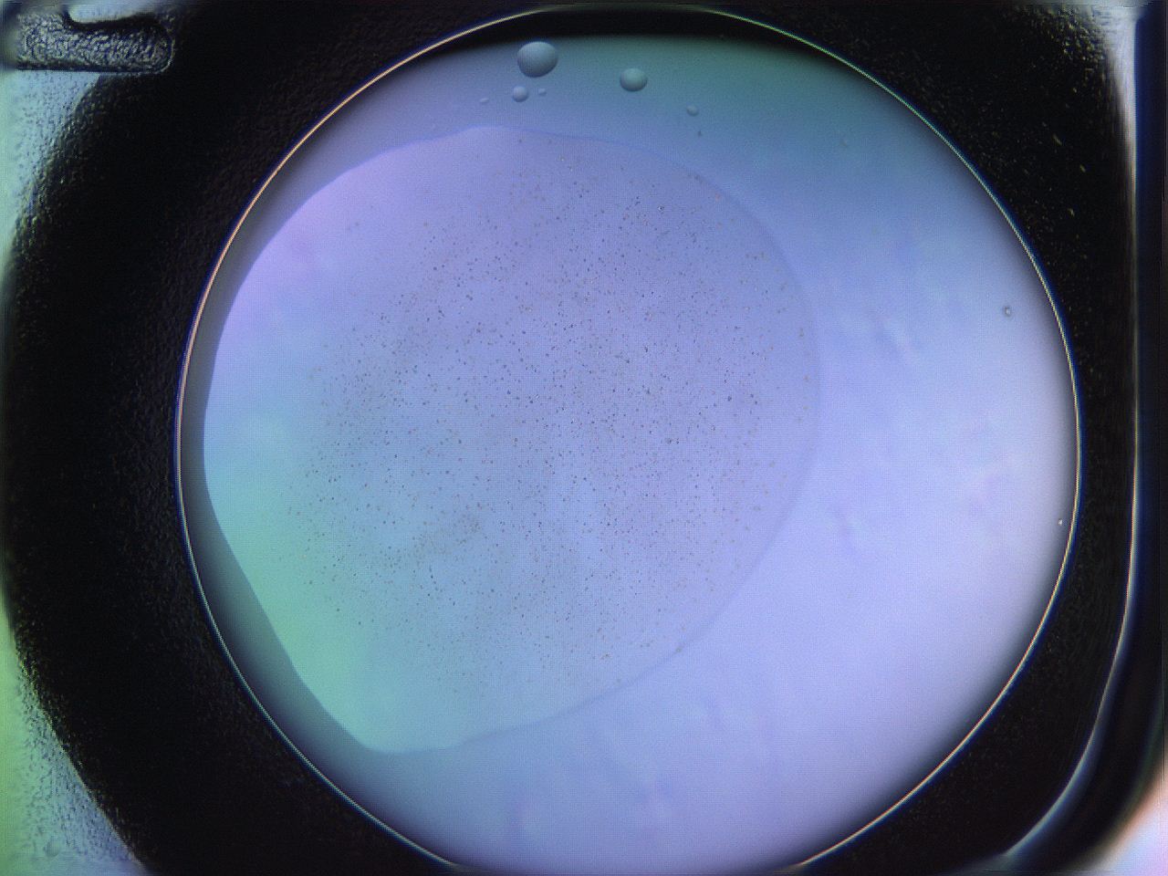 05ql_D12_ImagerDefaults_2.jpg