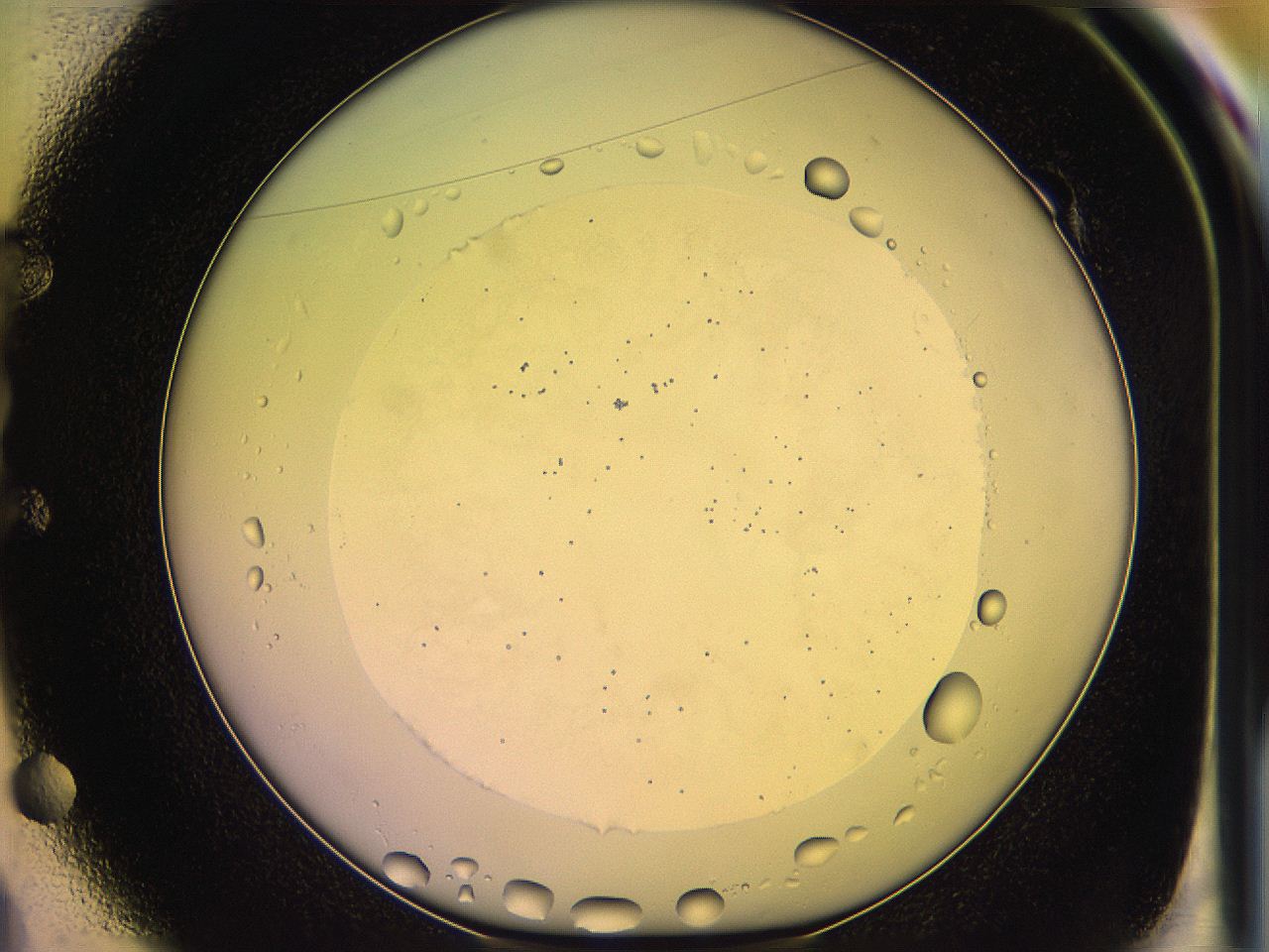 05ql_E1_ImagerDefaults_2.jpg