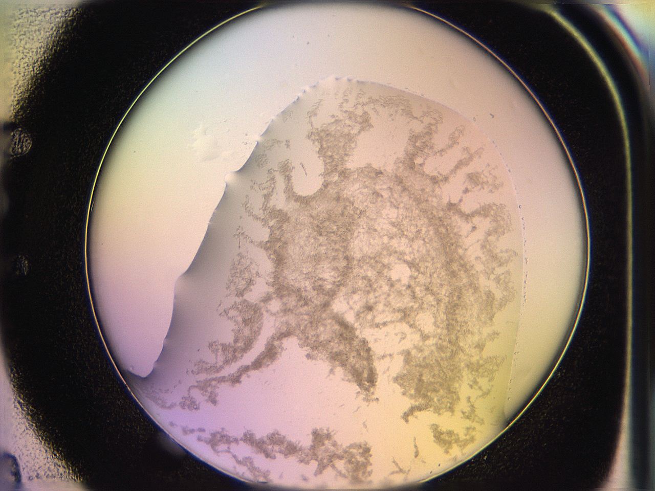 05ql_E4_ImagerDefaults_3.jpg