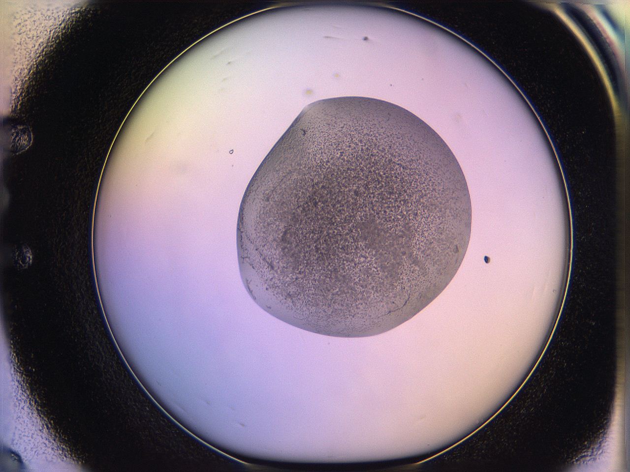 05ql_E8_ImagerDefaults_3.jpg