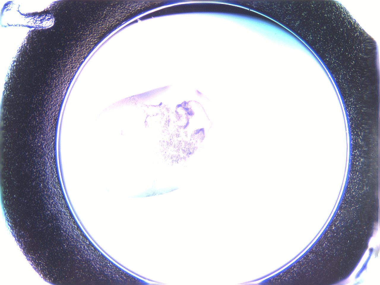 05ql_F12_ImagerDefaults_1.jpg