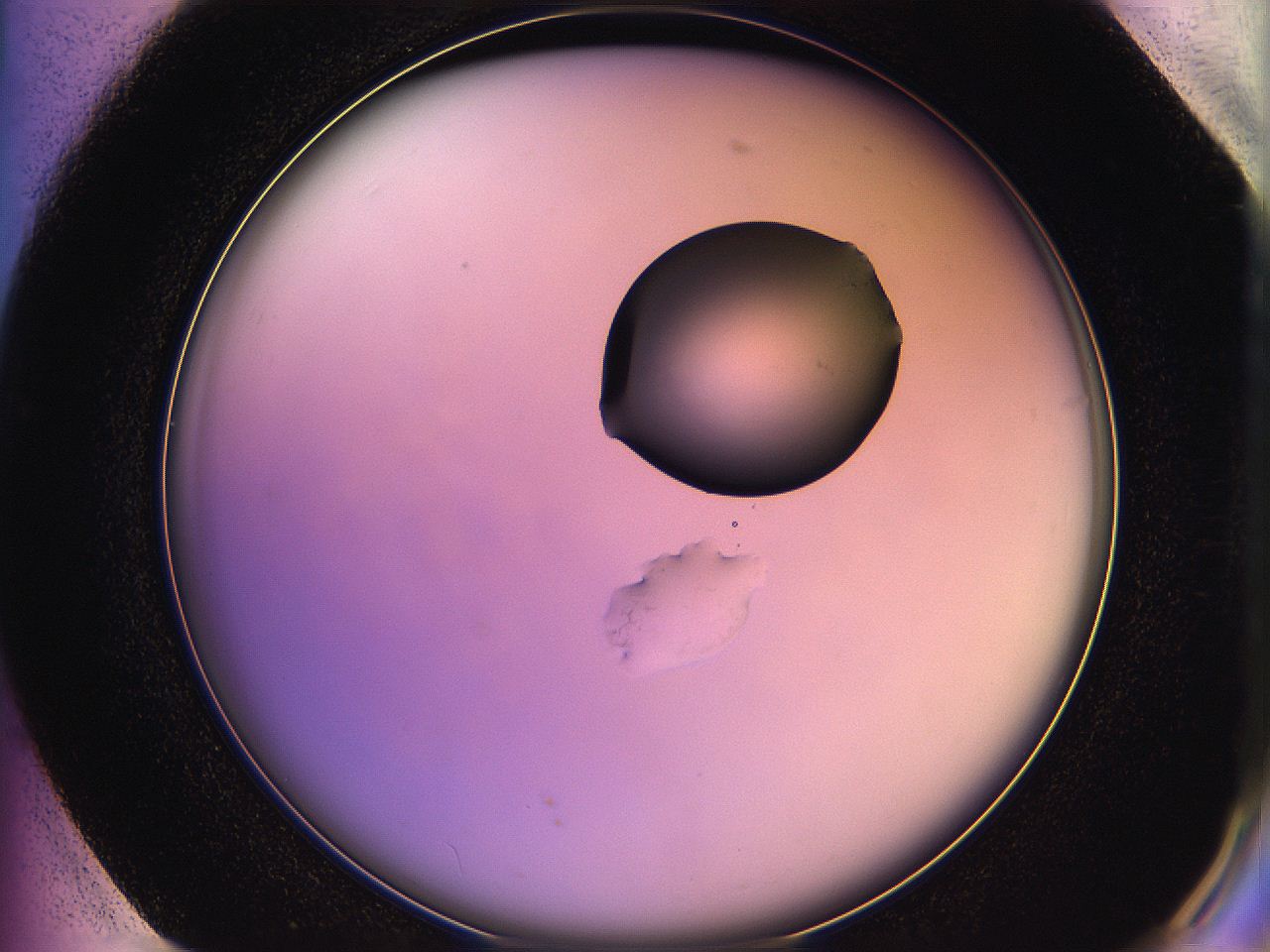 05ql_G1_ImagerDefaults_1.jpg
