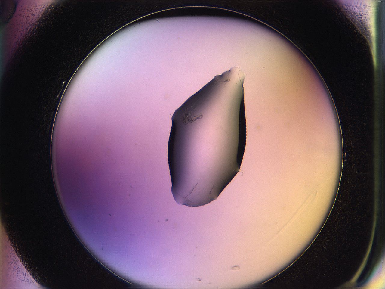 05ql_G5_ImagerDefaults_1.jpg