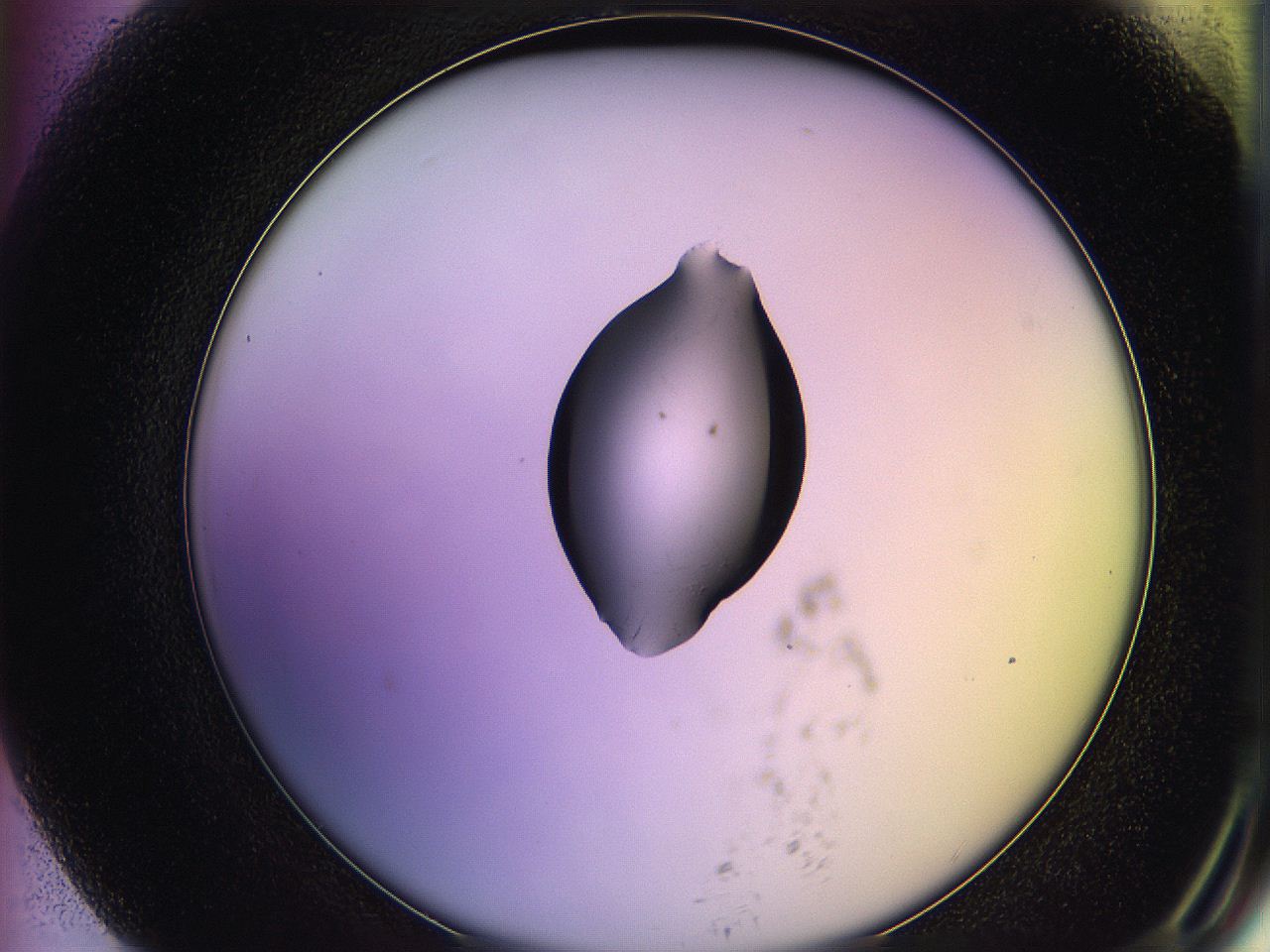 05ql_G7_ImagerDefaults_1.jpg