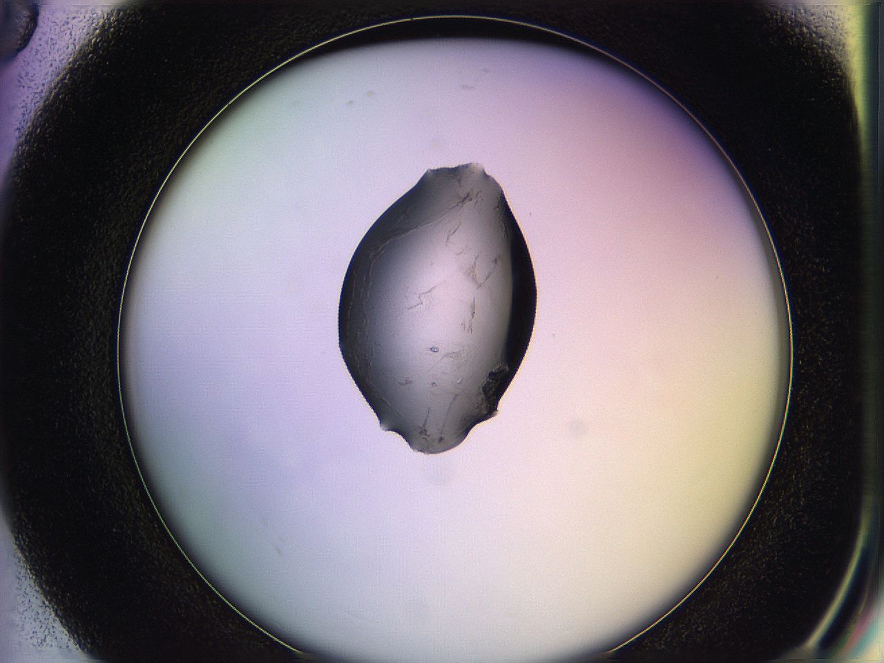 05ql_G8_ImagerDefaults_2.jpg