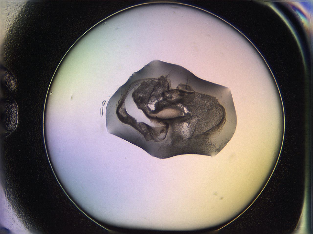 05ql_G9_ImagerDefaults_3.jpg
