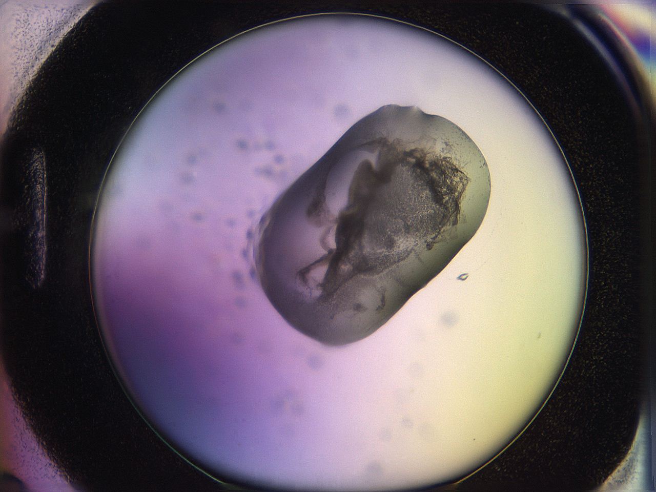 05ql_H6_ImagerDefaults_3.jpg
