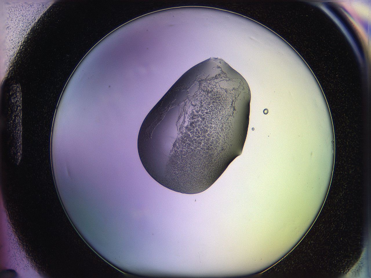 05ql_H7_ImagerDefaults_3.jpg