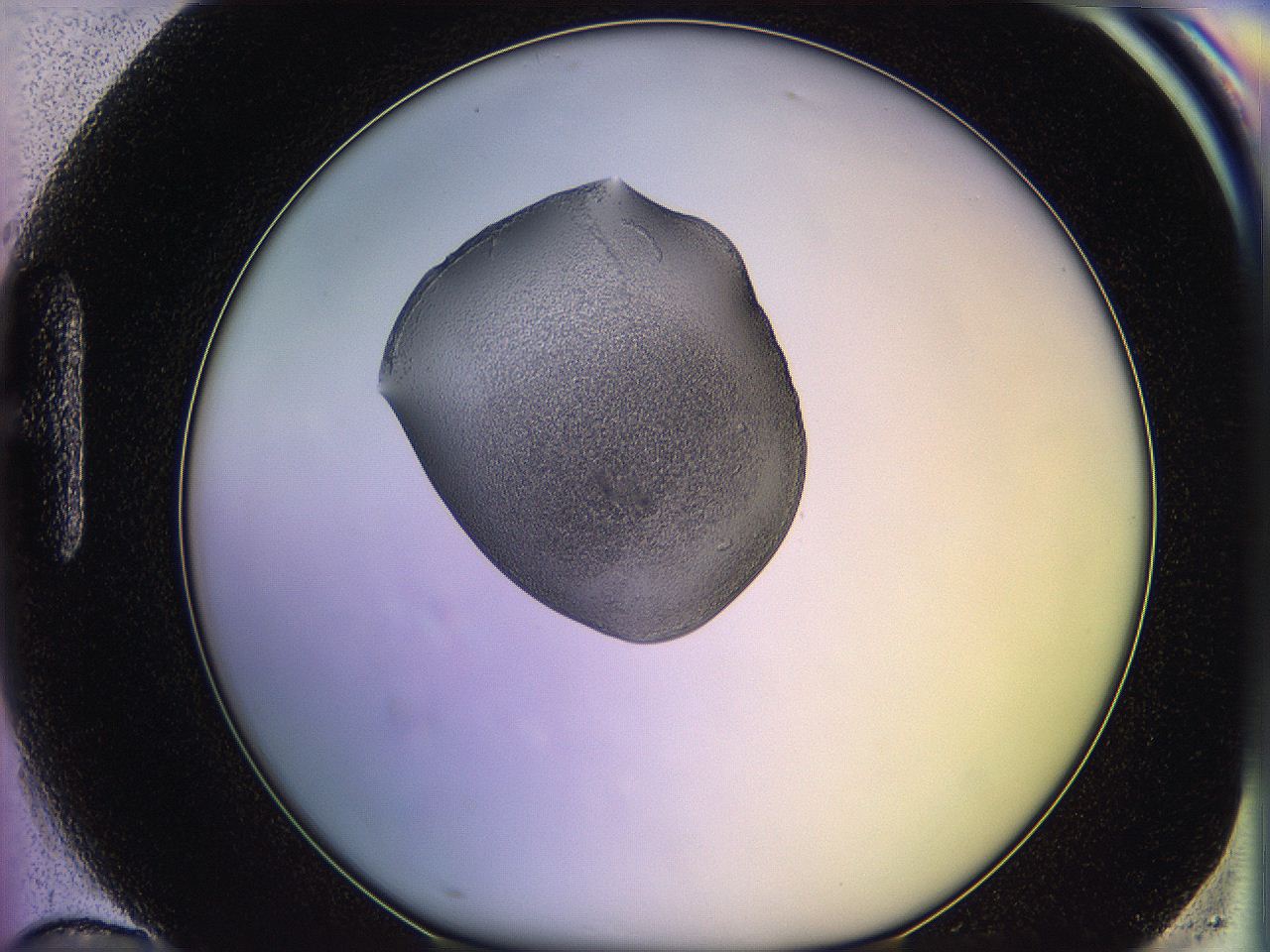 05ql_H10_ImagerDefaults_3.jpg