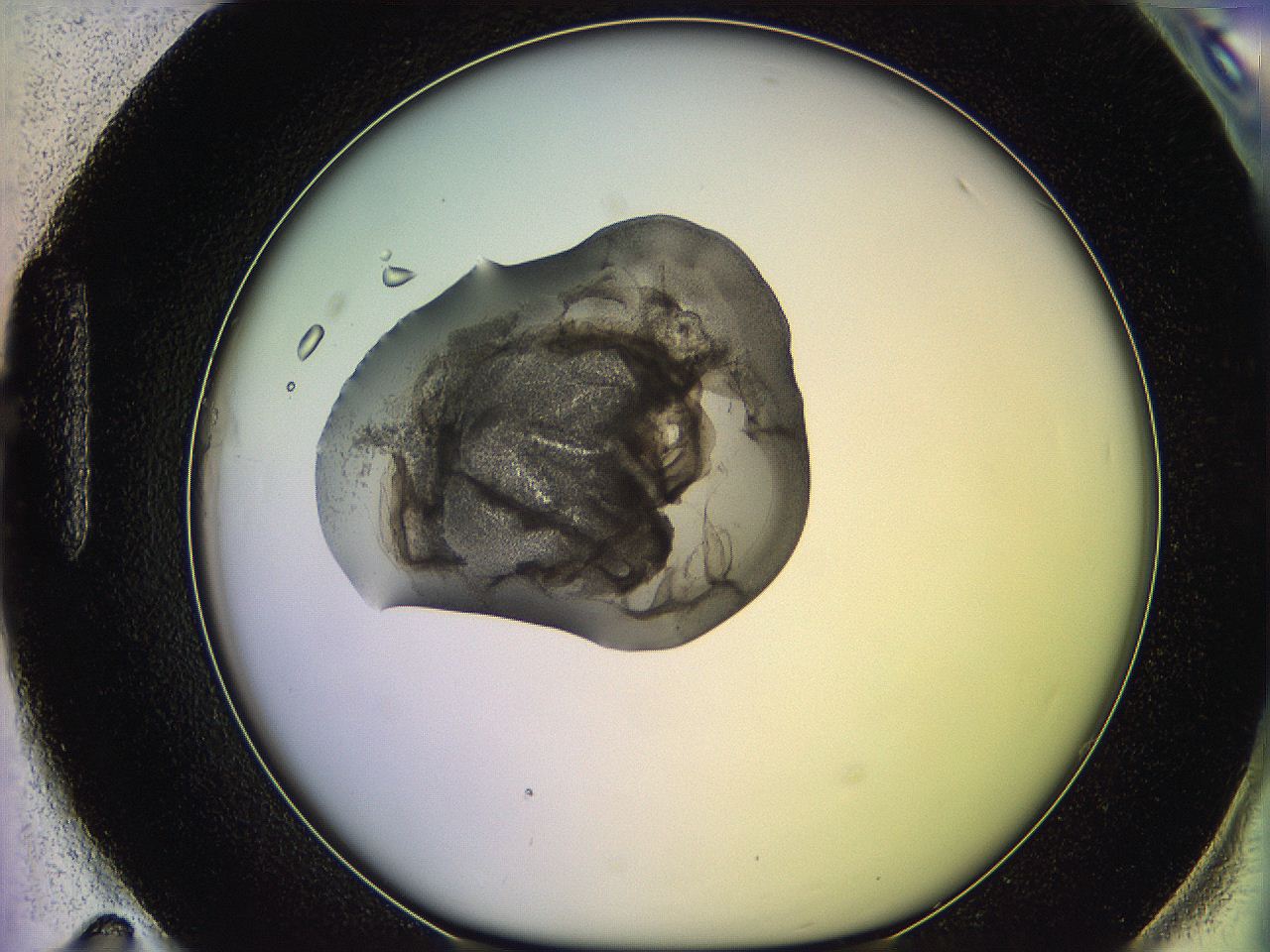 05ql_H11_ImagerDefaults_3.jpg