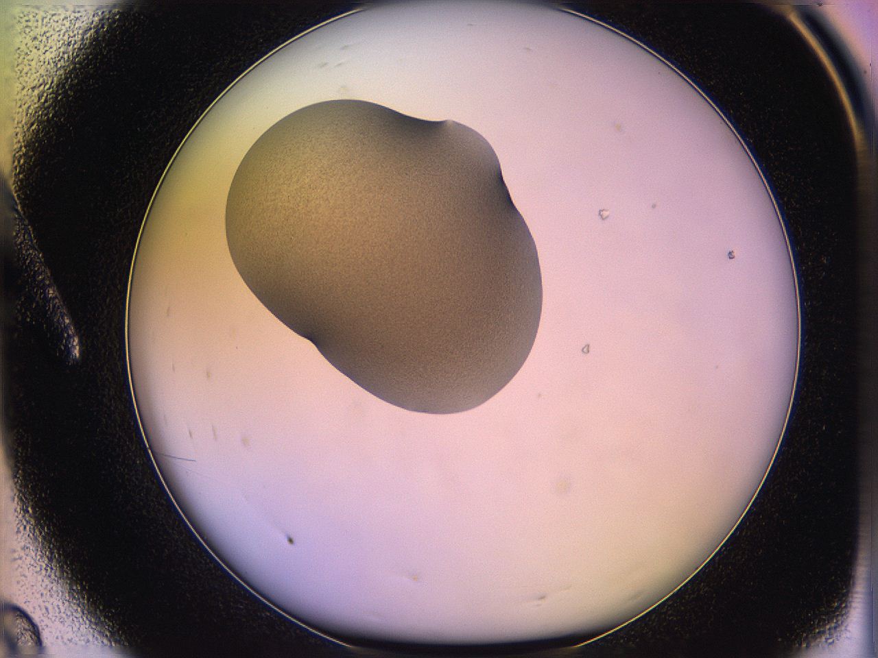 05qm_A8_ImagerDefaults_3.jpg