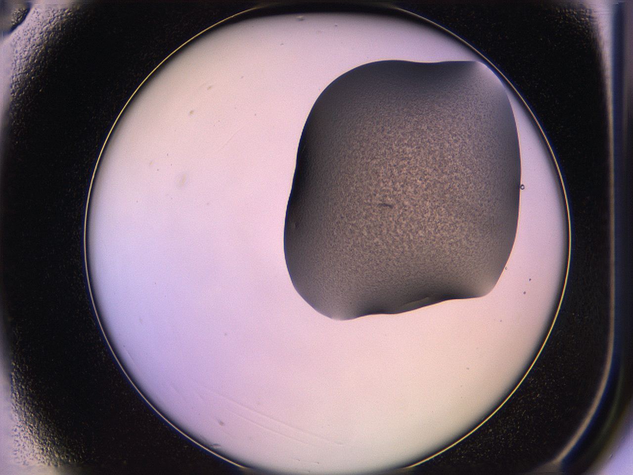 05qm_A3_ImagerDefaults_3.jpg
