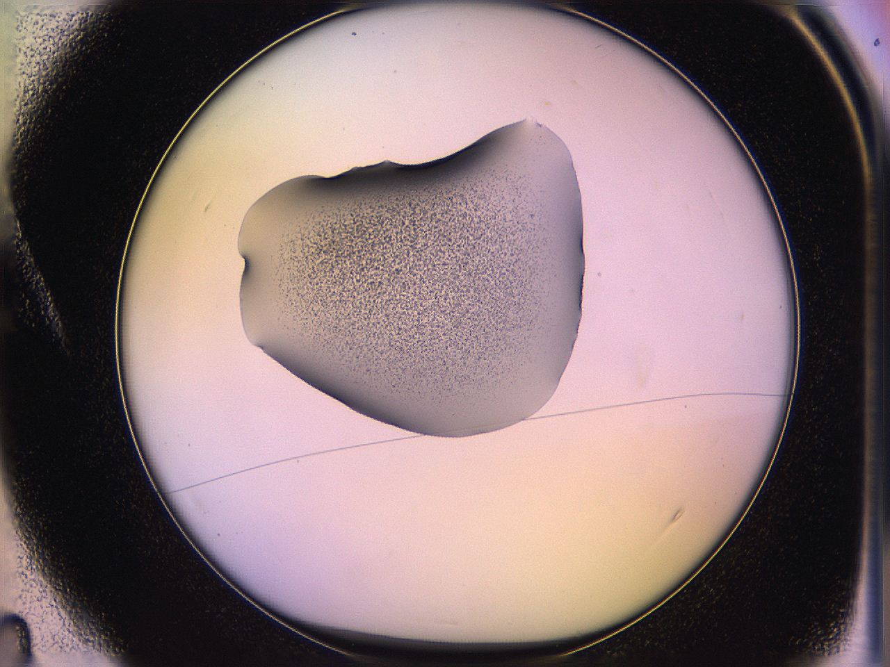 05qm_A4_ImagerDefaults_3.jpg