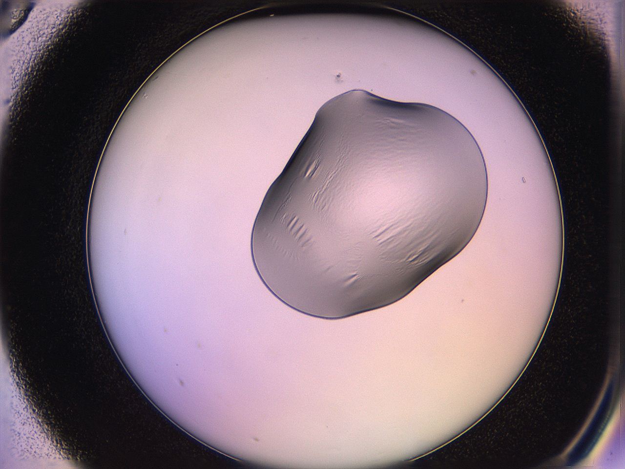 05qm_A5_ImagerDefaults_1.jpg
