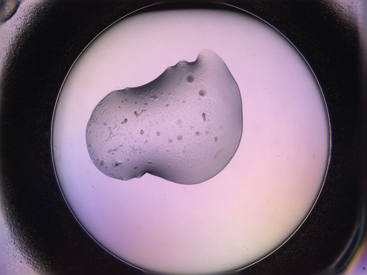 05qm_A6_ImagerDefaults_3.jpg