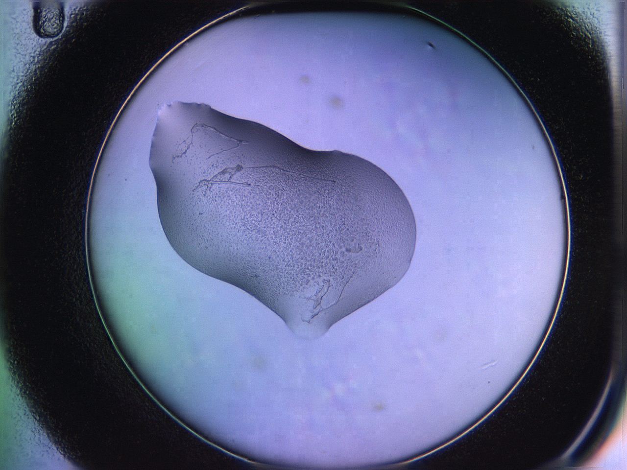 05qm_D11_ImagerDefaults_3.jpg