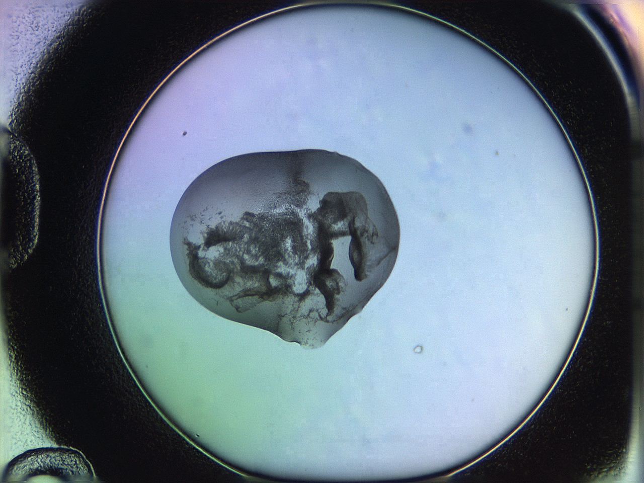 05qm_D12_ImagerDefaults_3.jpg
