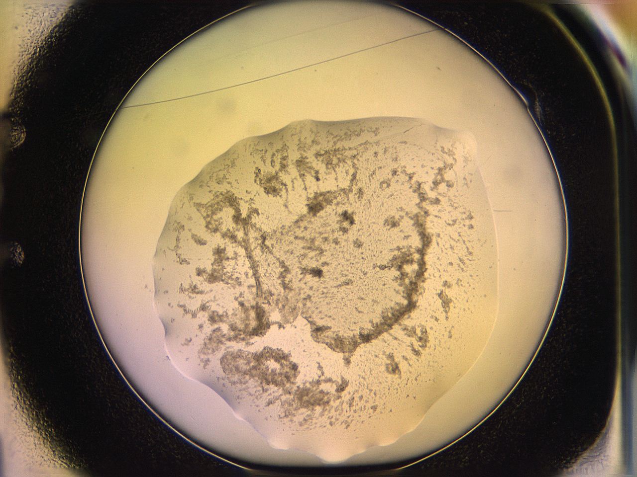05qm_E1_ImagerDefaults_3.jpg