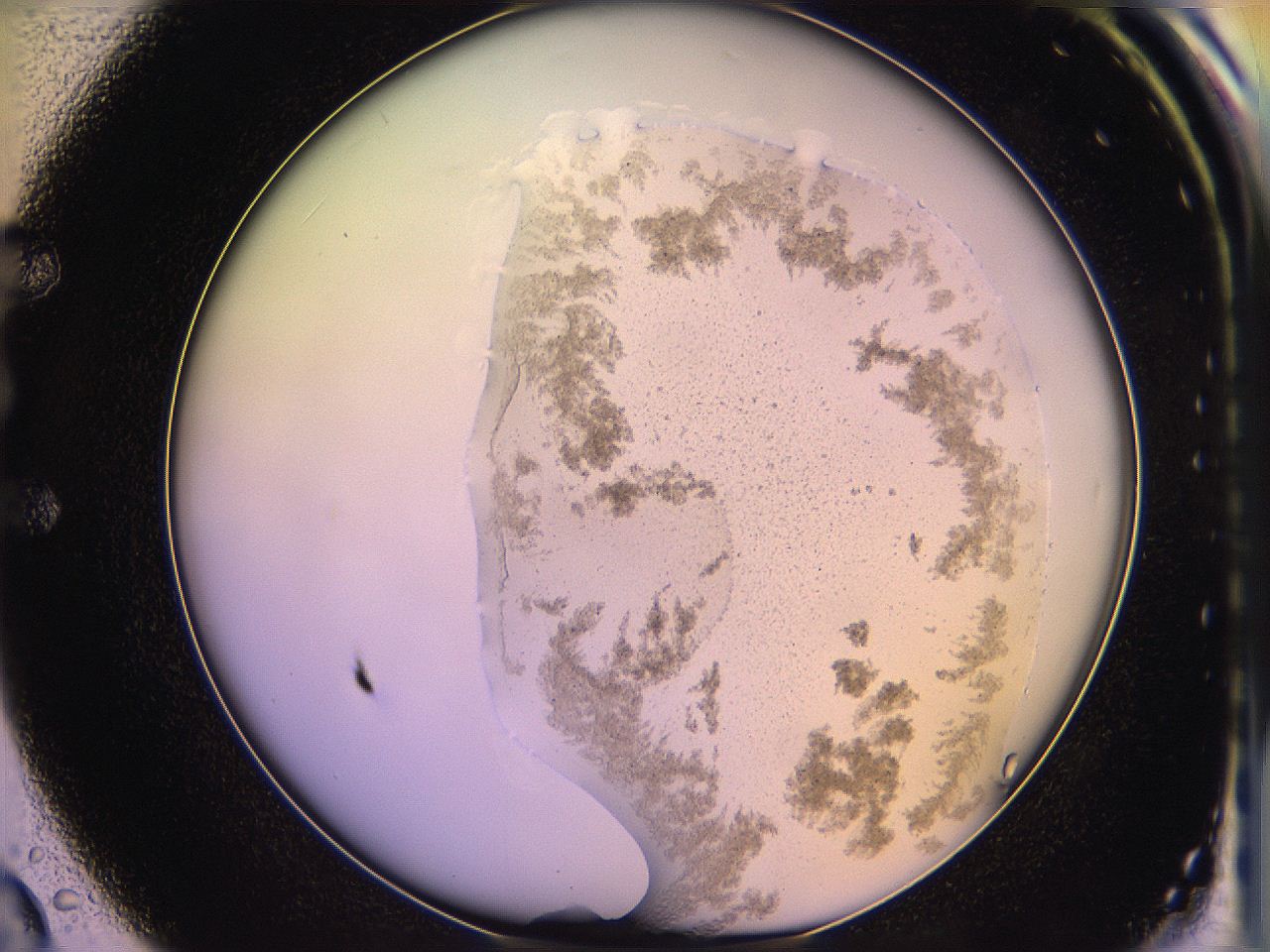 05qm_E2_ImagerDefaults_3.jpg