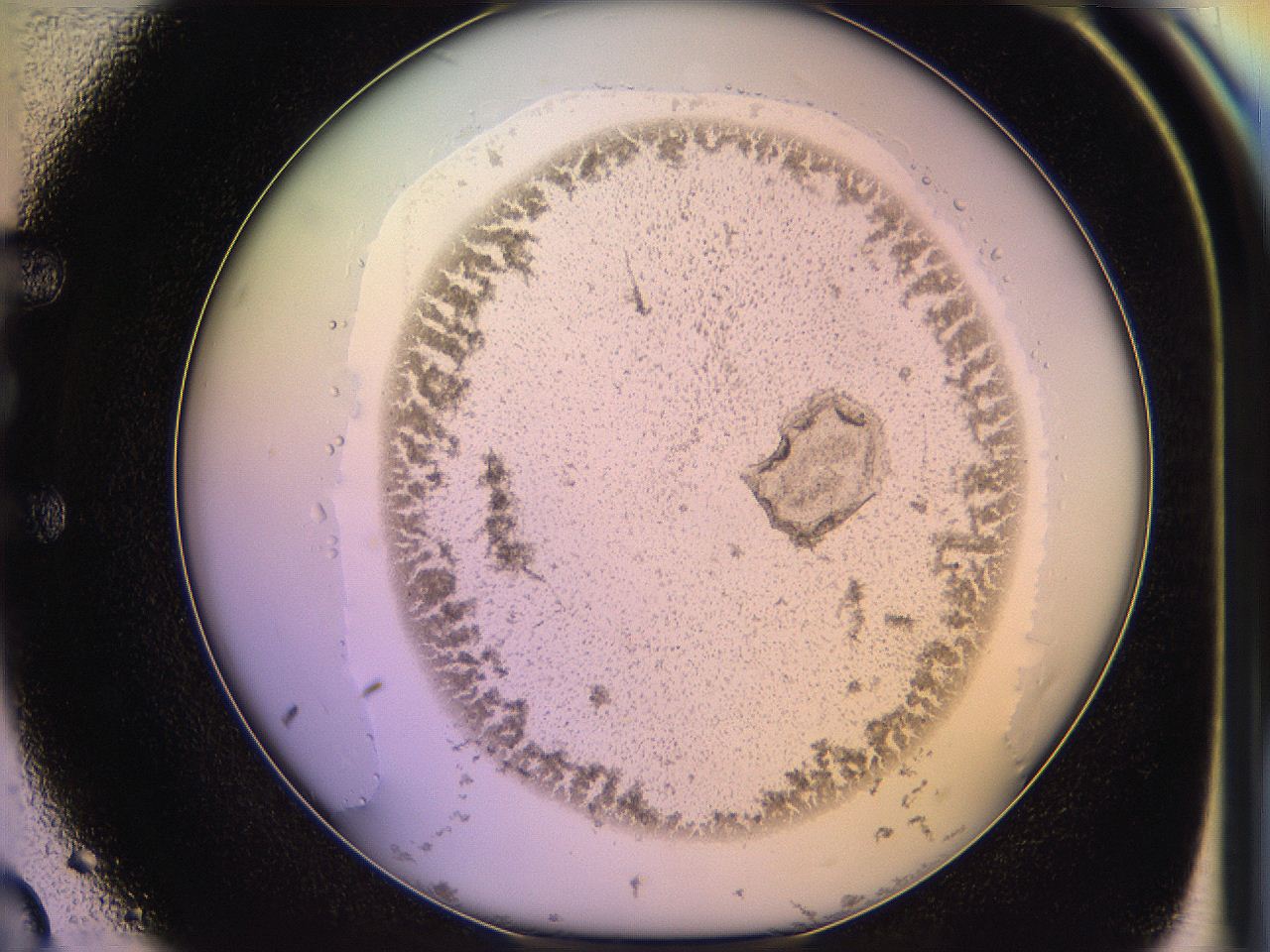 05qm_E3_ImagerDefaults_3.jpg