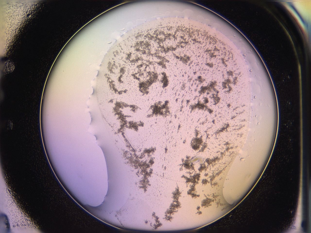 05qm_E4_ImagerDefaults_3.jpg