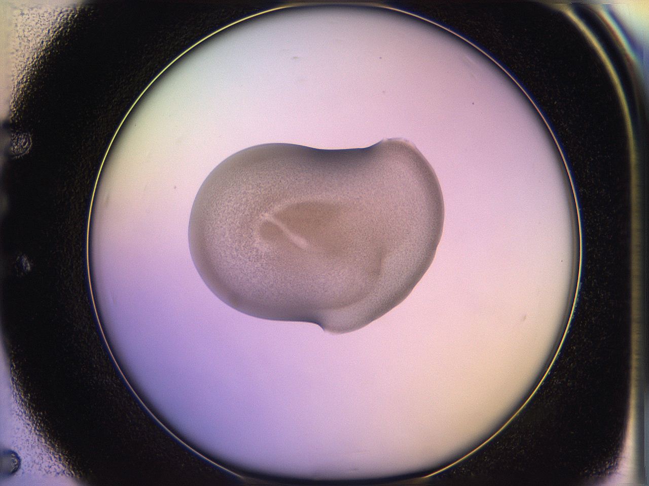 05qm_E5_ImagerDefaults_3.jpg