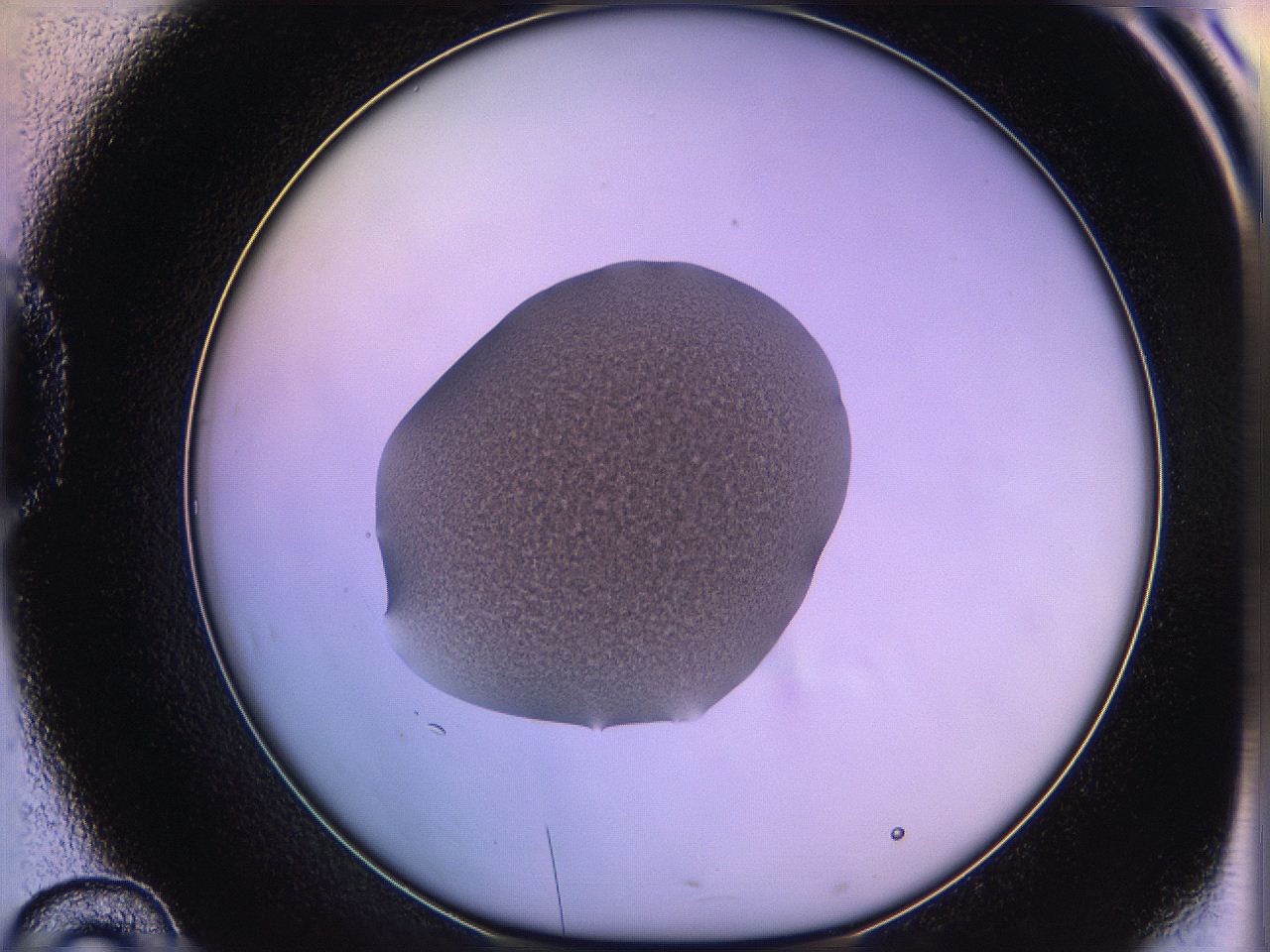05qm_D10_ImagerDefaults_3.jpg