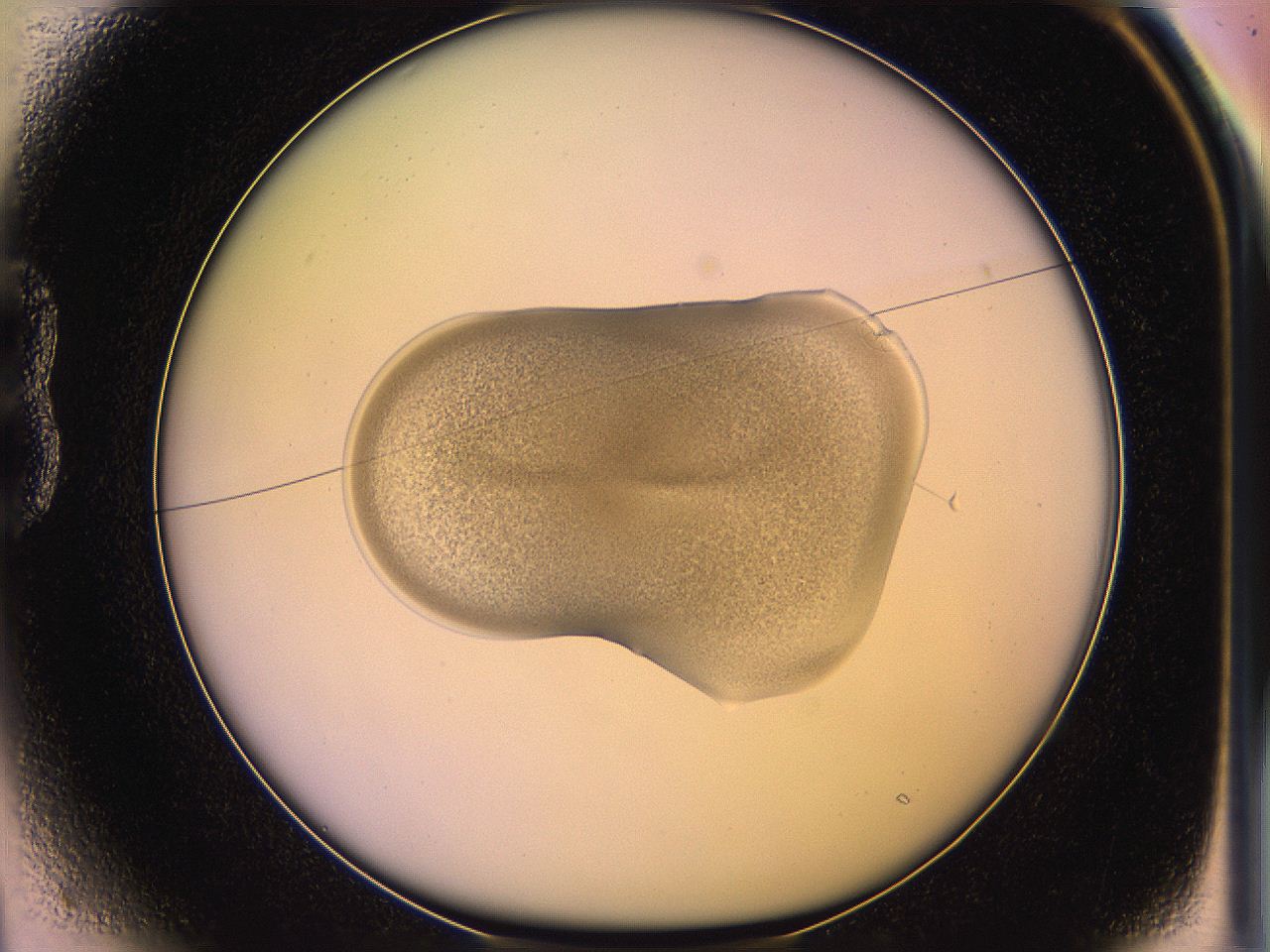 05qm_B1_ImagerDefaults_3.jpg