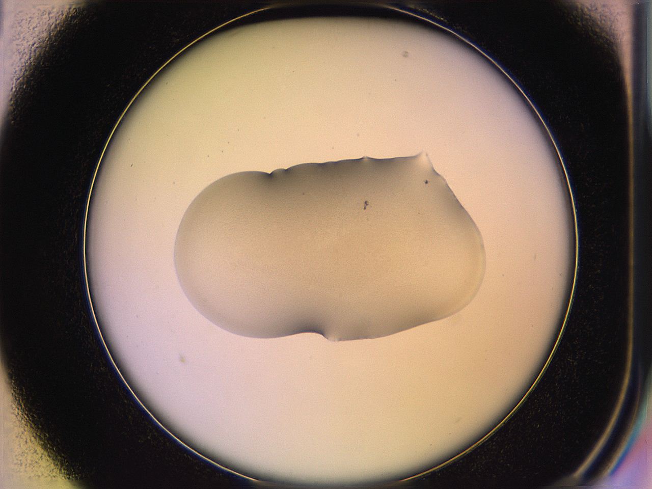 05qm_B1_ImagerDefaults_1.jpg
