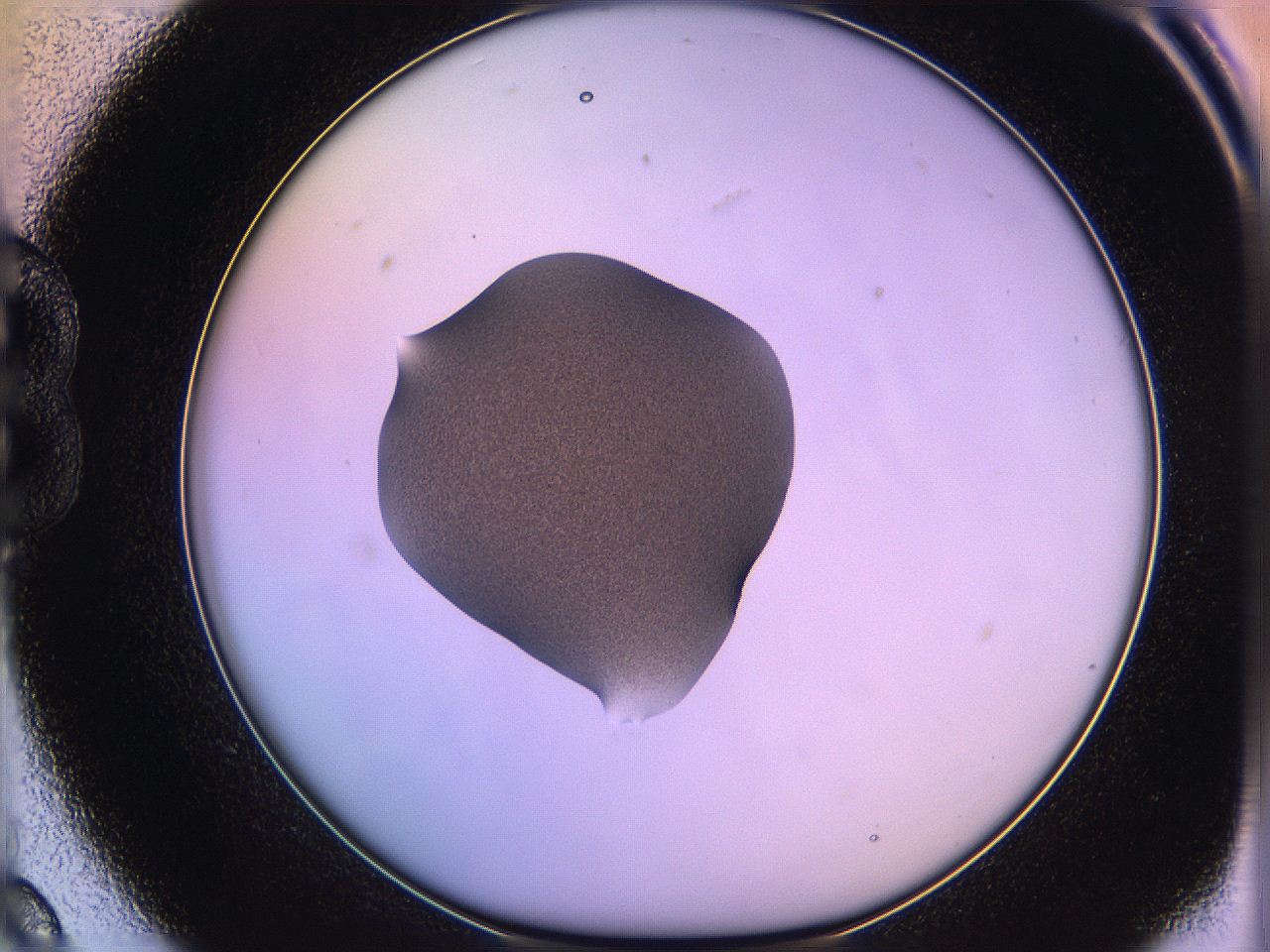 05qm_B9_ImagerDefaults_3.jpg