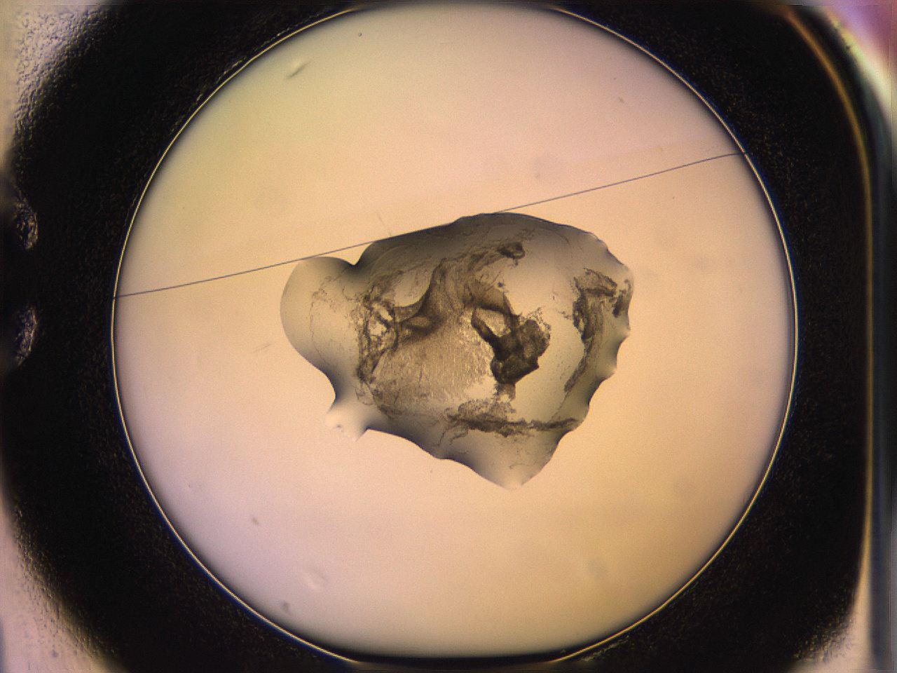 05qm_C1_ImagerDefaults_3.jpg