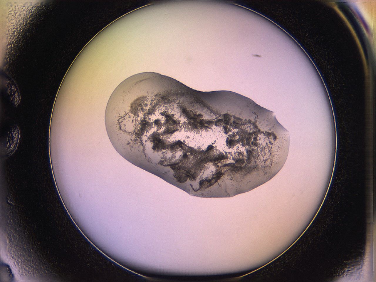 05qm_C3_ImagerDefaults_3.jpg