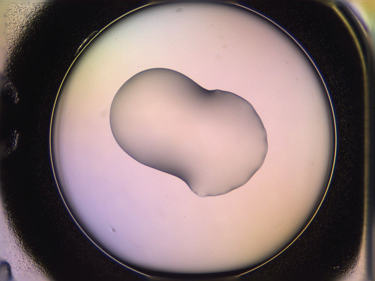 05qm_C4_ImagerDefaults_1.jpg