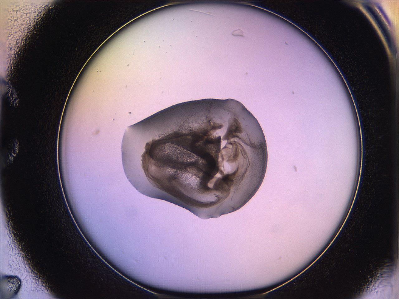 05qm_C7_ImagerDefaults_3.jpg