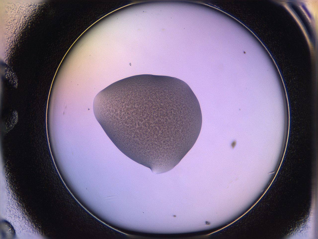 05qm_C8_ImagerDefaults_3.jpg