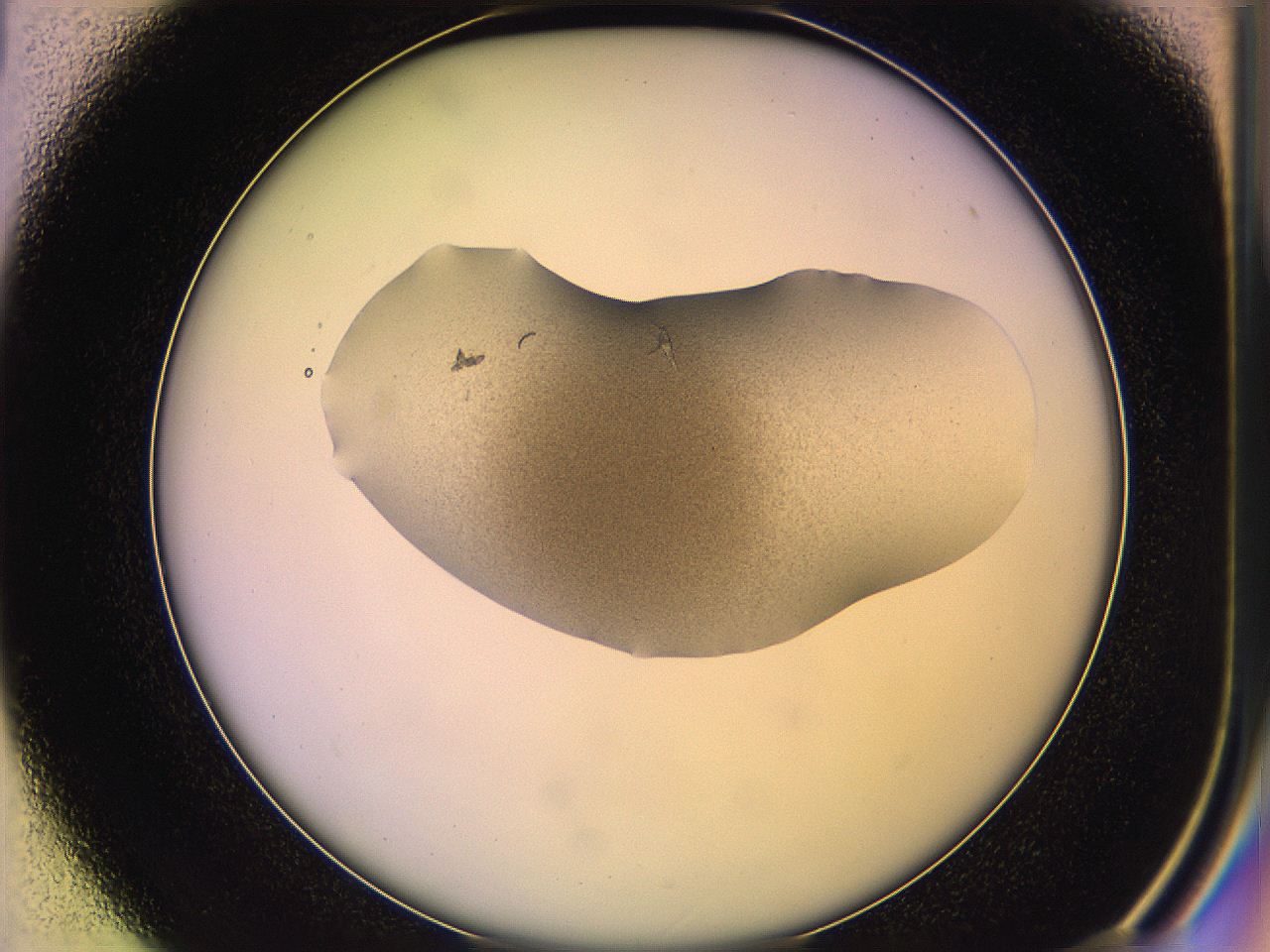 05qm_D1_ImagerDefaults_3.jpg