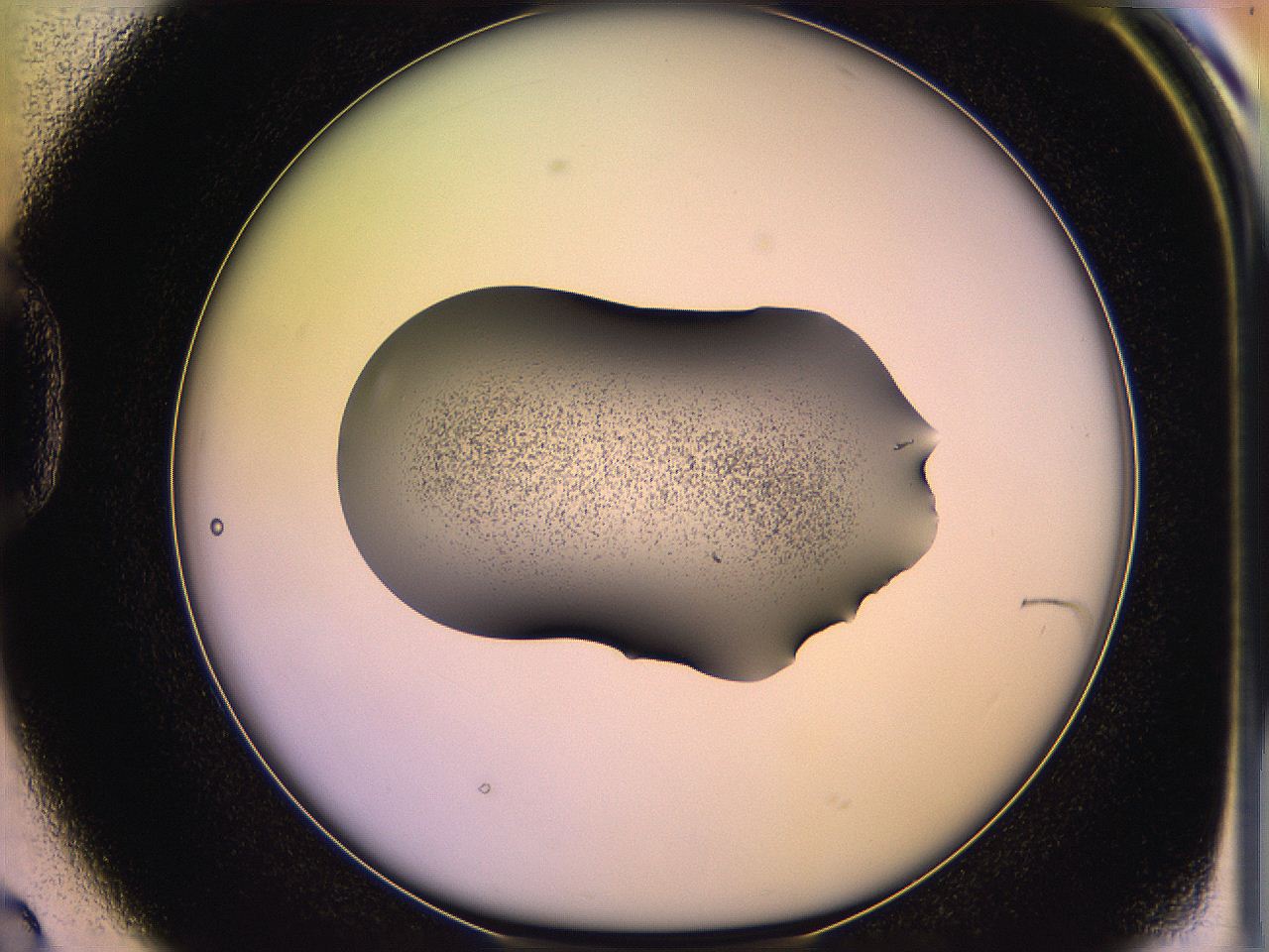05qm_D2_ImagerDefaults_3.jpg
