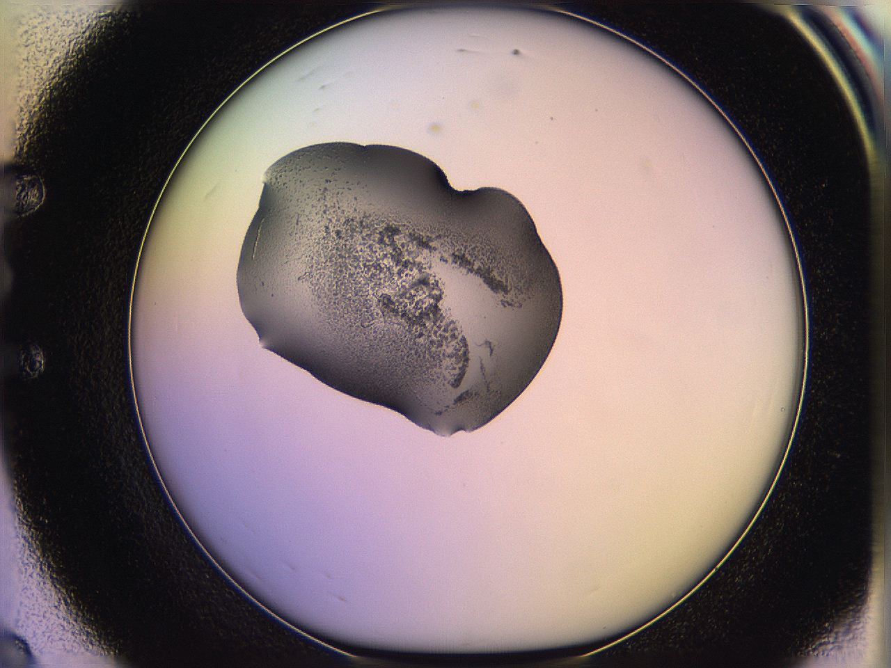 05qm_E8_ImagerDefaults_3.jpg