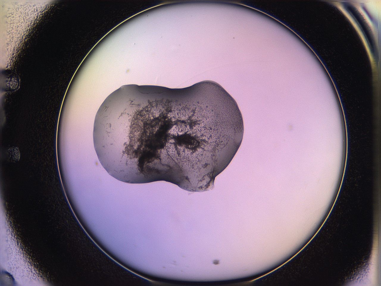 05qm_E9_ImagerDefaults_3.jpg