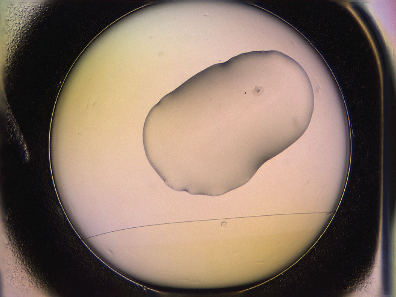 05qm_A1_ImagerDefaults_1.jpg